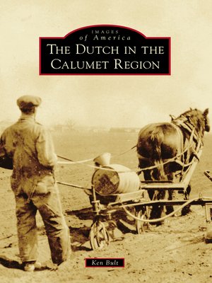 cover image of The Dutch in the Calumet Region